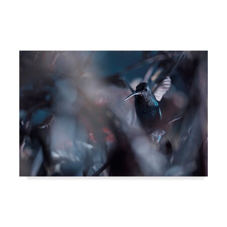 Trademark Fine Art Fabien Bravin '50 Hz' Canvas Art, 12x19 1X07527-C1219GG